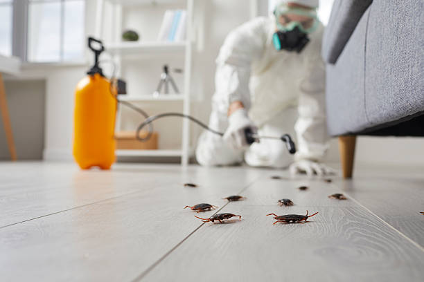 Commercial Kitchen Cockroach Control in Marmaduke